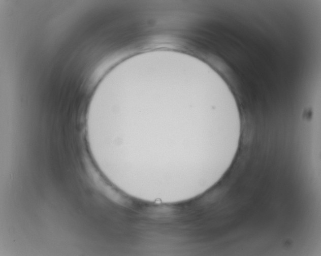 X0000111891431200909031854