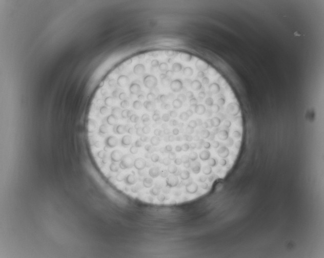 X0000111891432200909031854