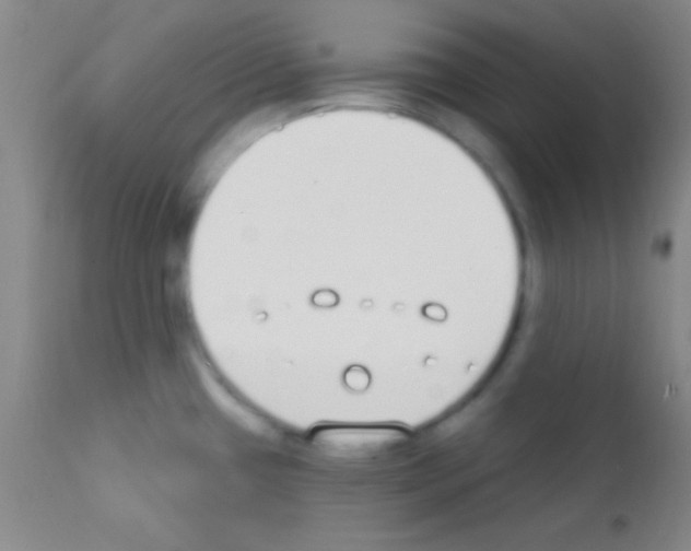 X0000111891433200909031854