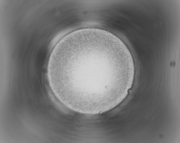 X0000111891440200909031854