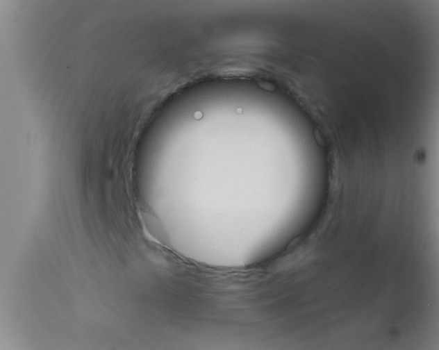 X0000111891441200909031853