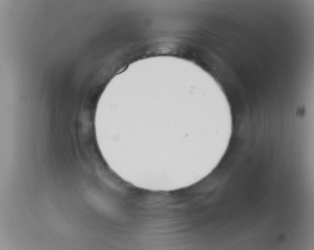 X0000111891442200909031853