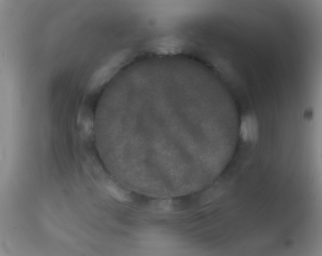 X0000111891444200909031853