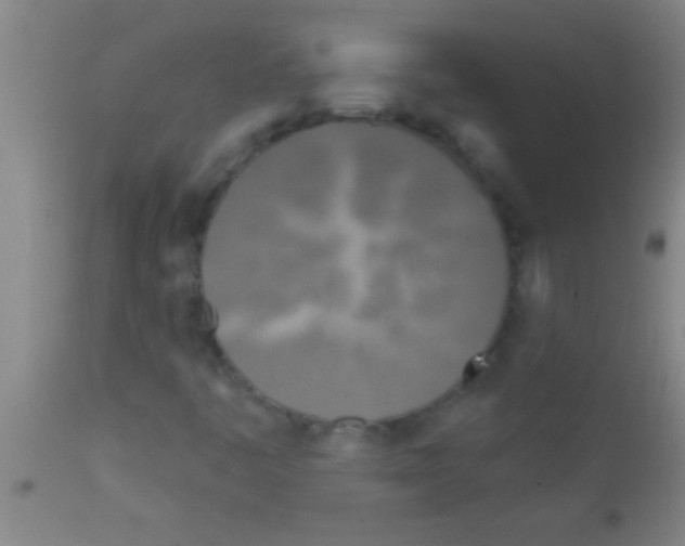 X0000111891445200909031853