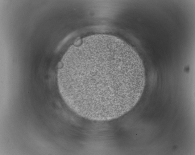 X0000111891446200909031853