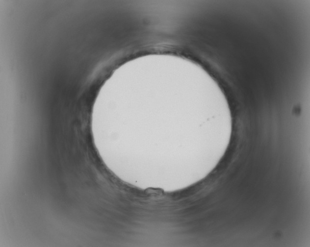 X0000111891447200909031853