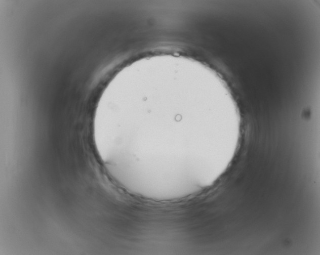 X0000111891448200909031853