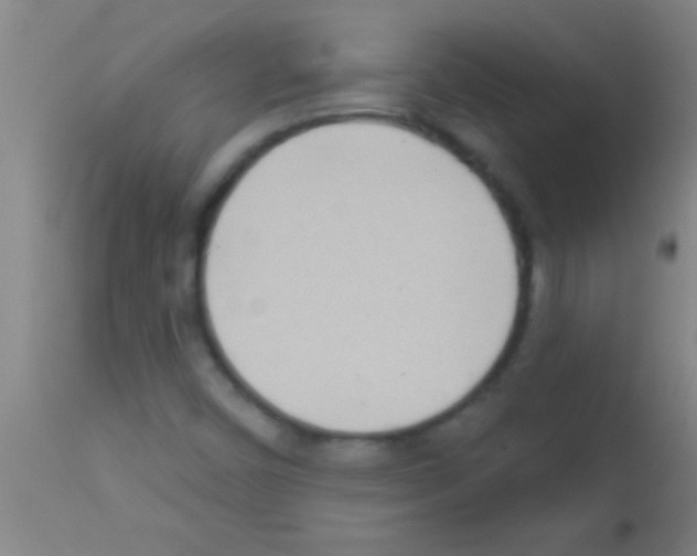 X0000111891450200909031853