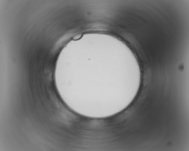 X0000111891451200909031853