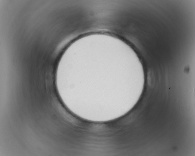 X0000111891452200909031853