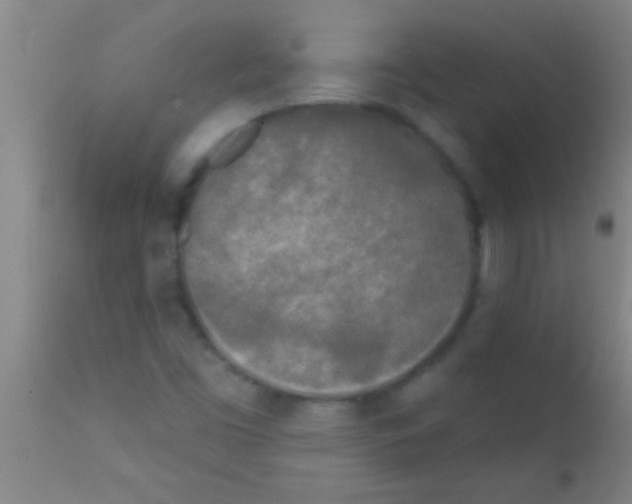 X0000111891453200909031853