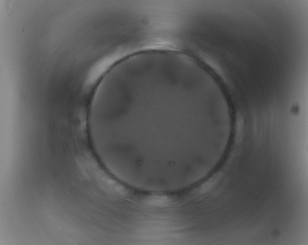 X0000111891455200909031853