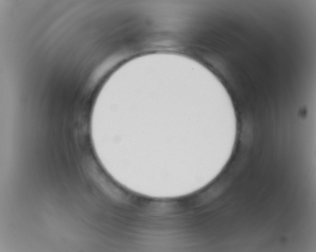 X0000111891458200909031853