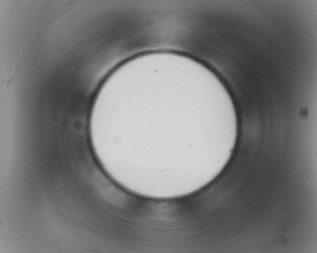 X0000111891460200909031853