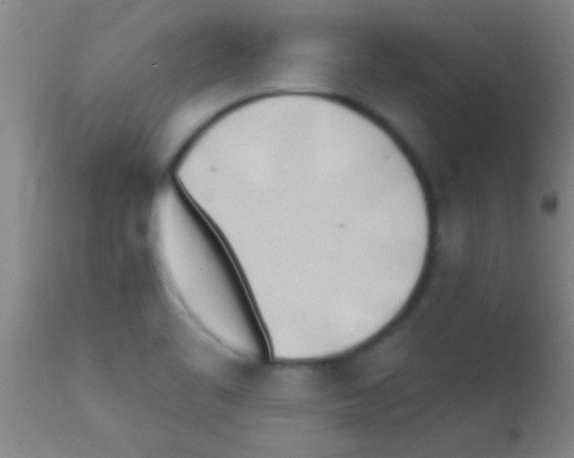 X0000111891461200909031853