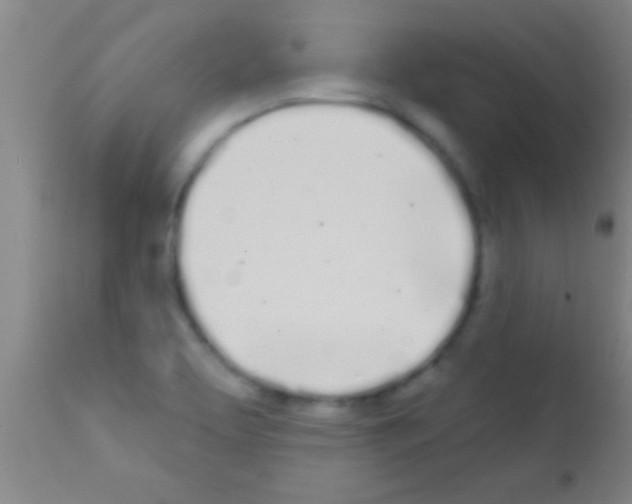 X0000111891463200909031853