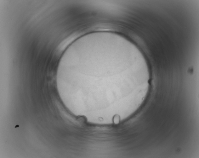 X0000111891465200909031853