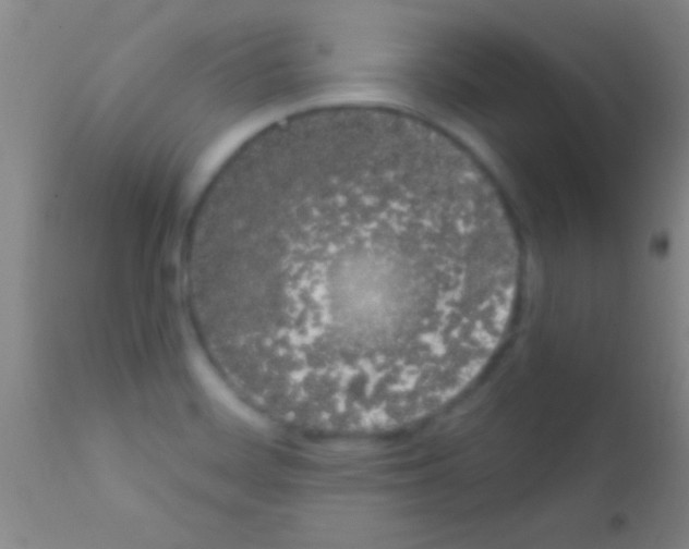 X0000111891468200909031853