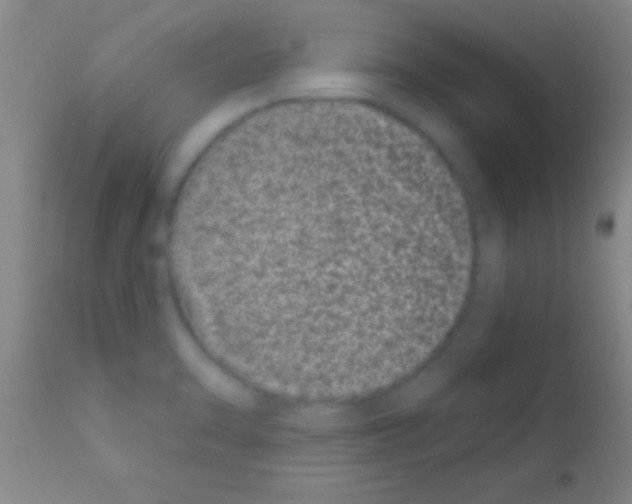 X0000111891470200909031853