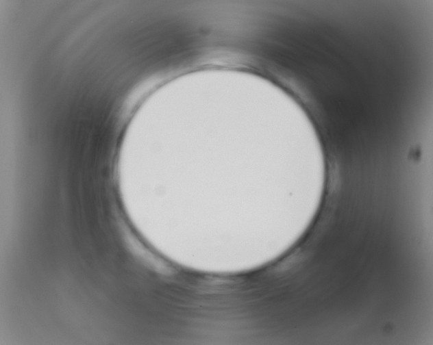 X0000111891471200909031853