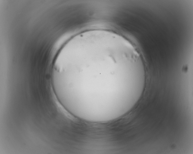 X0000111891472200909031853