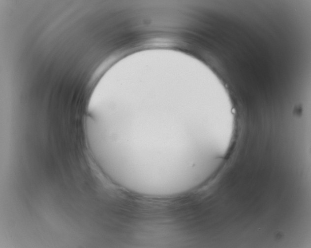 X0000111891473200909031853