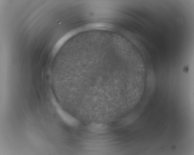 X0000111891474200909031853