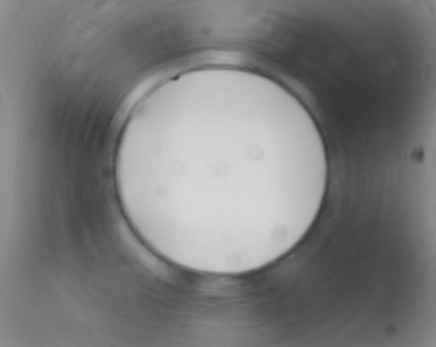 X0000111891475200909031853