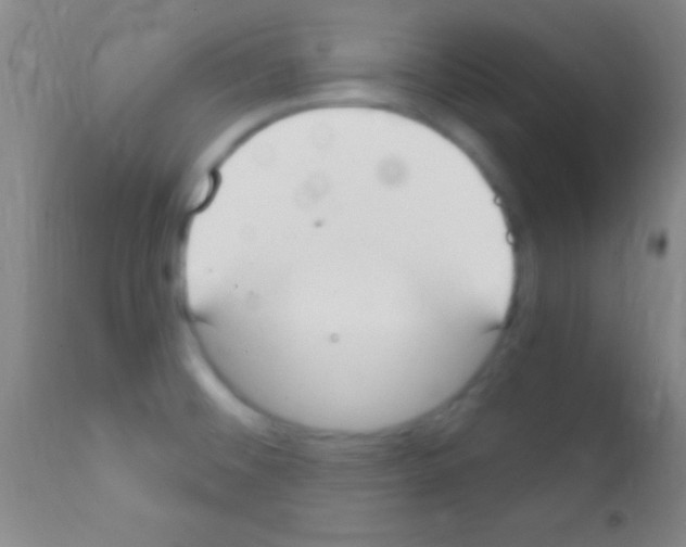 X0000111891476200909031853