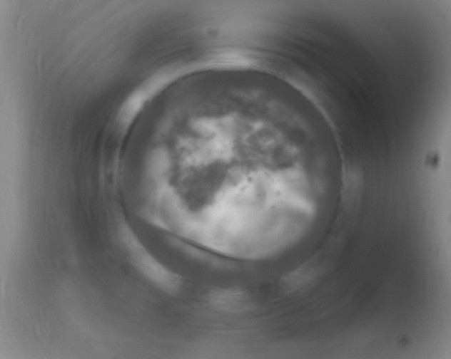 X0000111891477200909031853