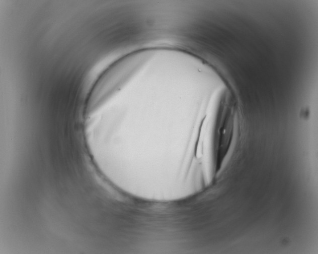 X0000111891480200909031853