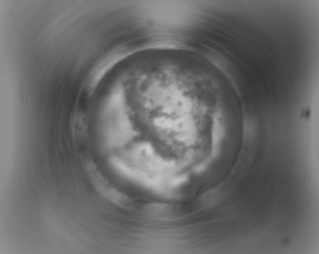 X0000111891481200909031853