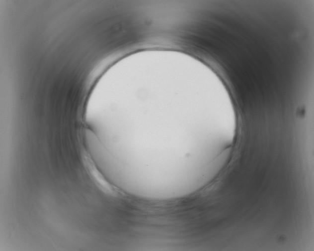 X0000111891485200909031853