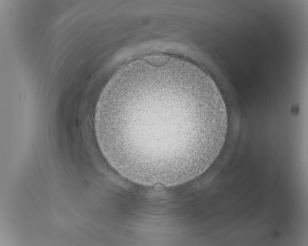 X0000111891489200909031852