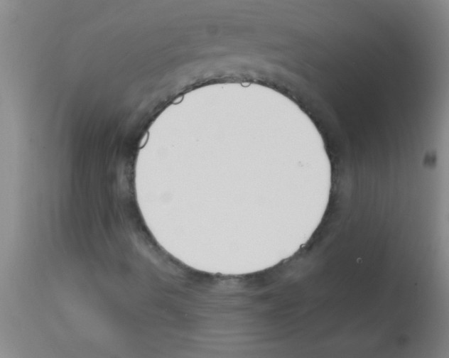 X0000111891490200909031852