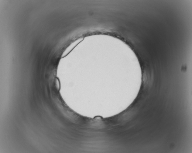 X0000111891492200909031852