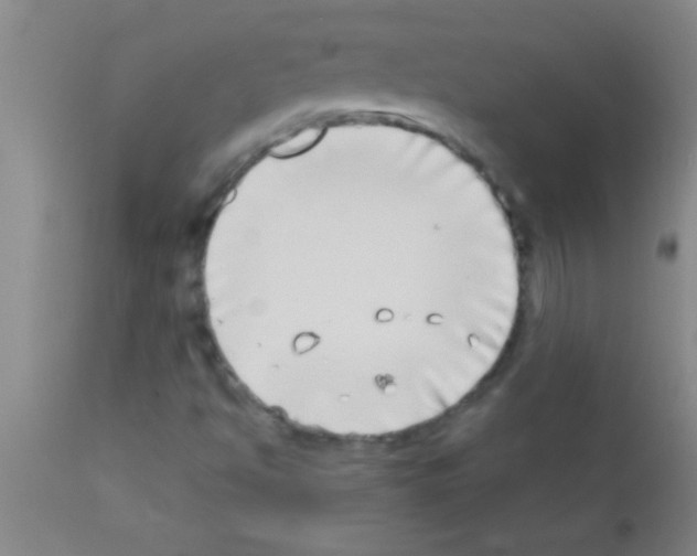 X0000111891494200909031852