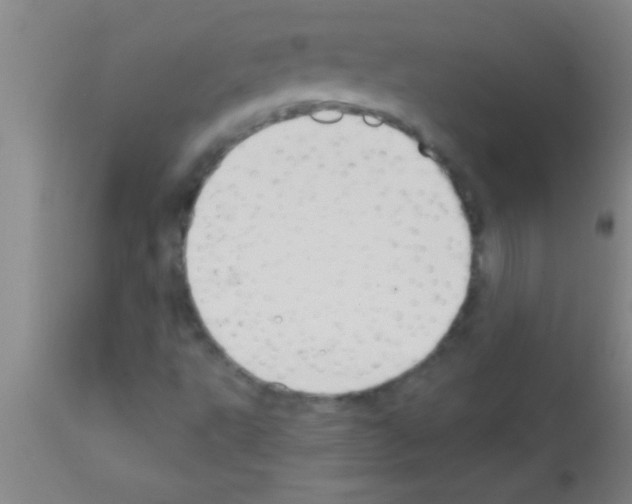 X0000111891495200909031852