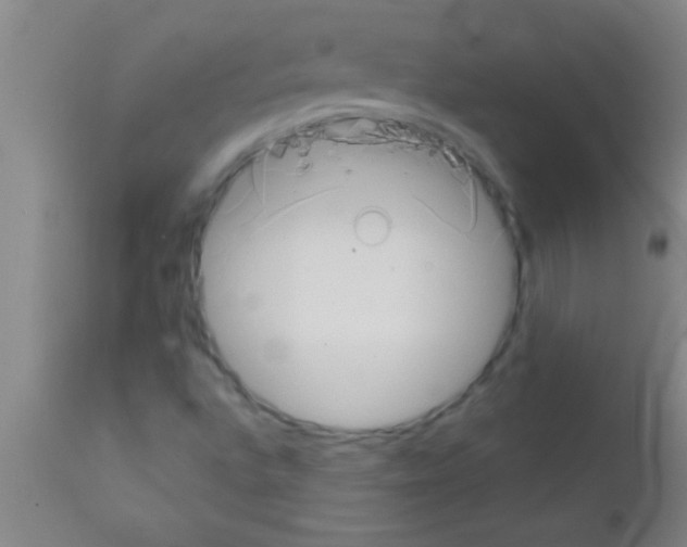 X0000111891496200909031852