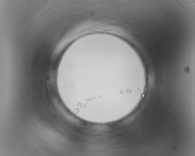 X0000111891498200909031852