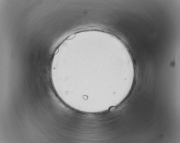 X0000111891500200909031852