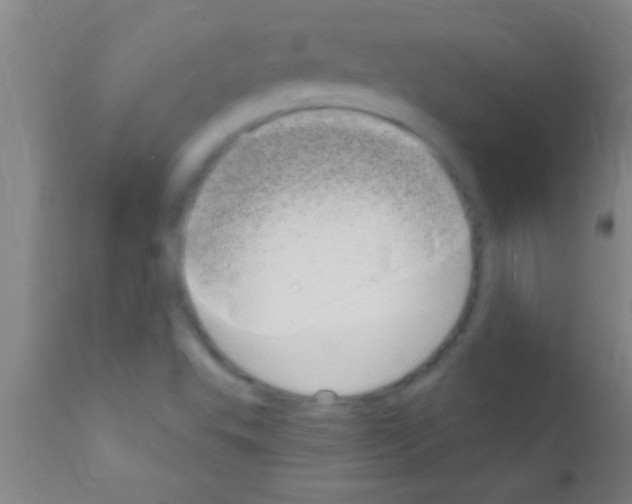 X0000111891503200909031852