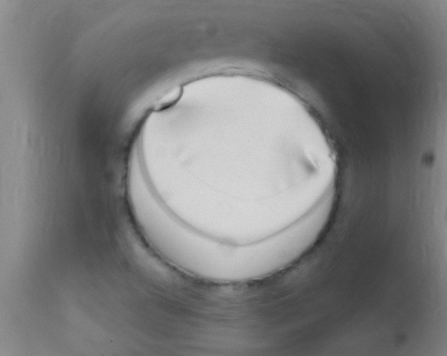 X0000111891504200909031852