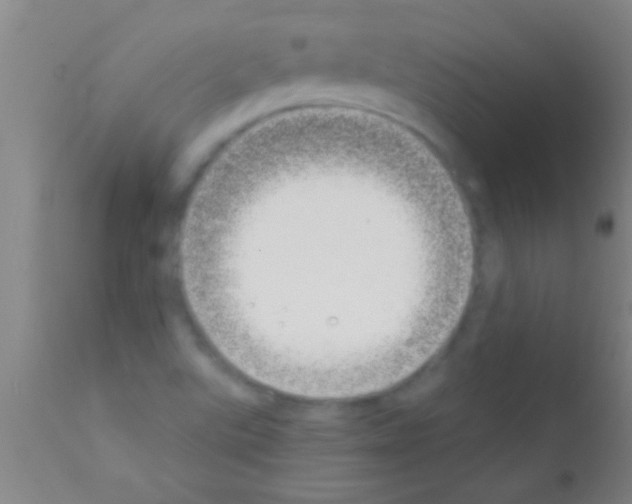 X0000111891507200909031852