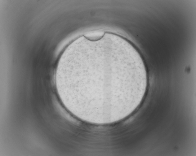 X0000111891510200909031852