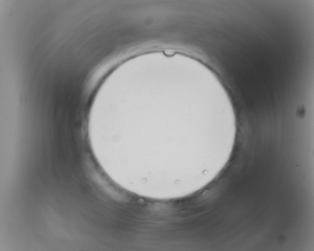 X0000111891511200909031852