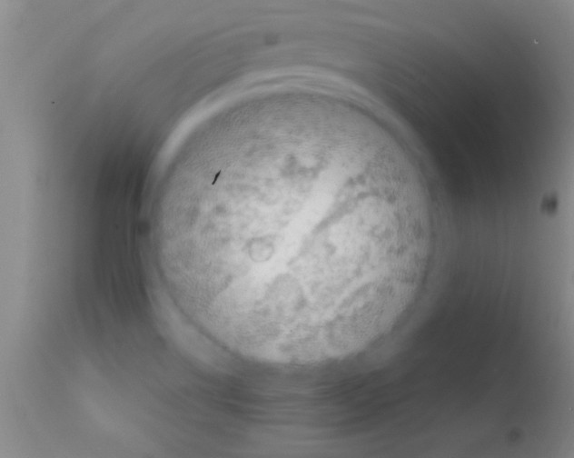 X0000111891514200909031852