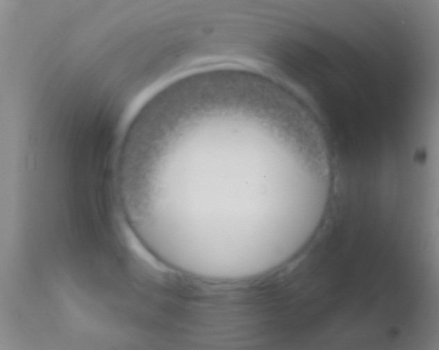 X0000111891516200909031853