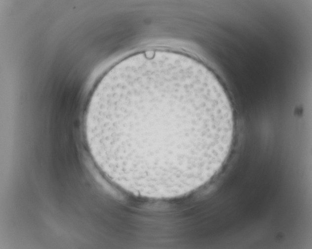 X0000111891517200909031853