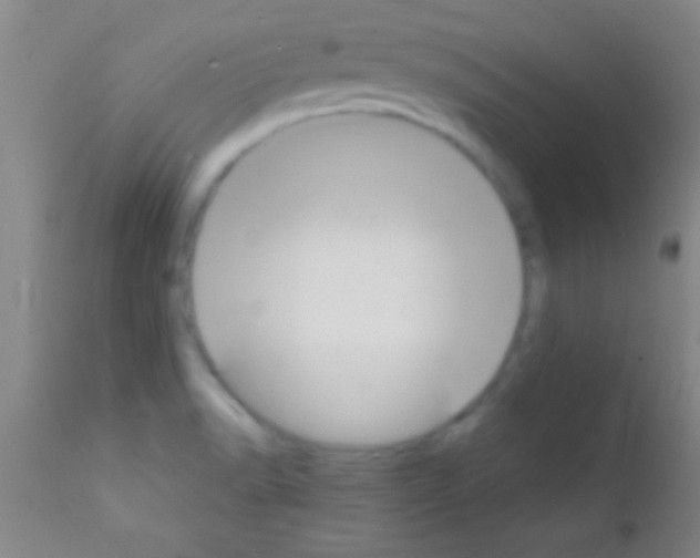 X0000111891518200909031853